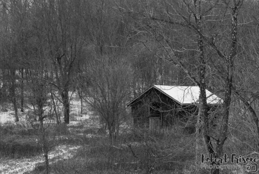 Barn in the Woods