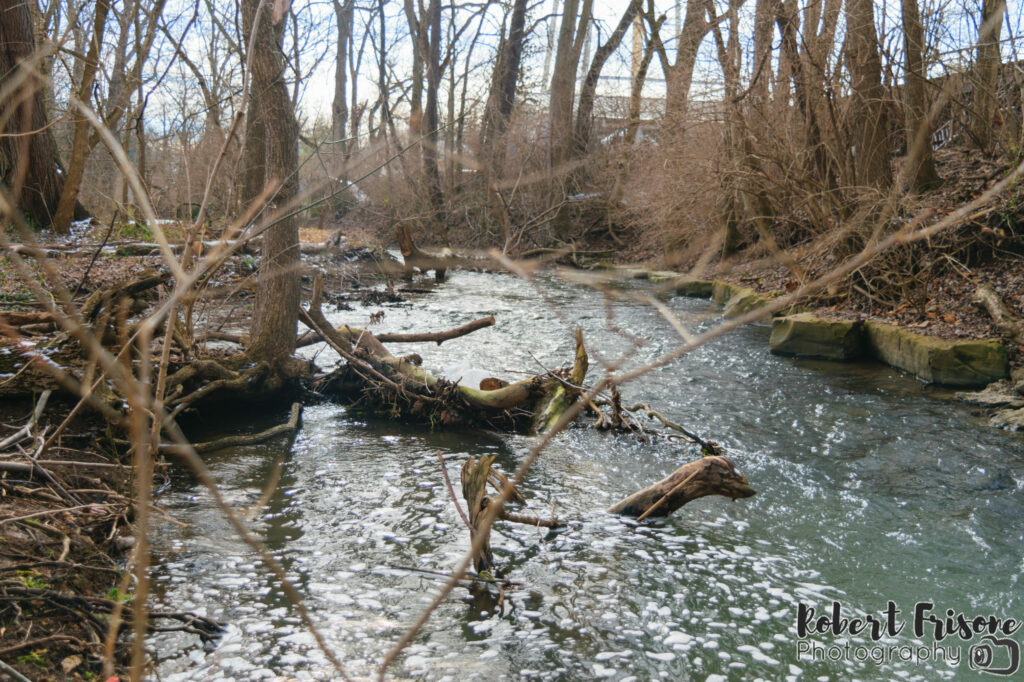 Down the Creek