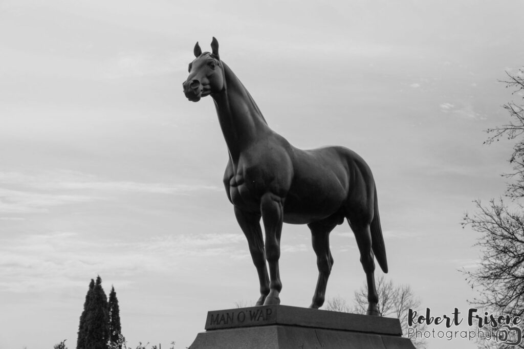 Man o' War