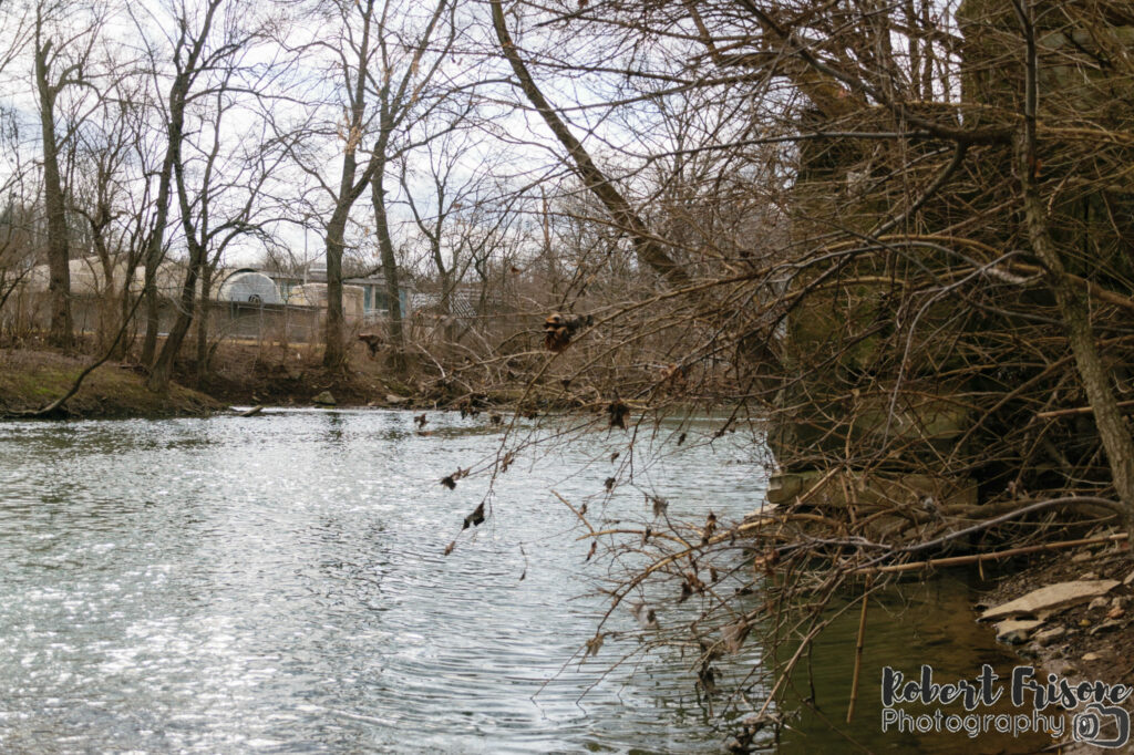 On the Elkhorn