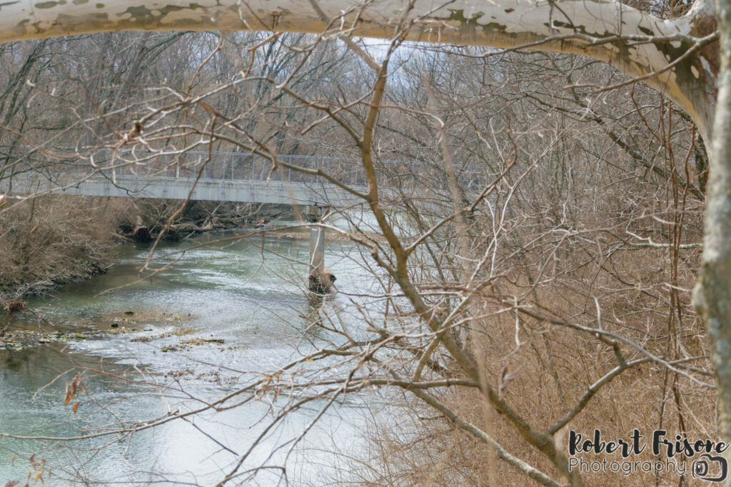 Elkhorn Creek from Above