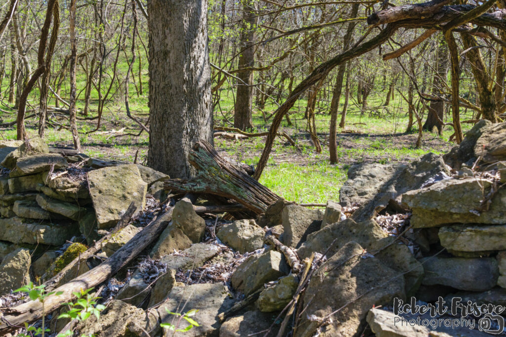 Ruined Wall