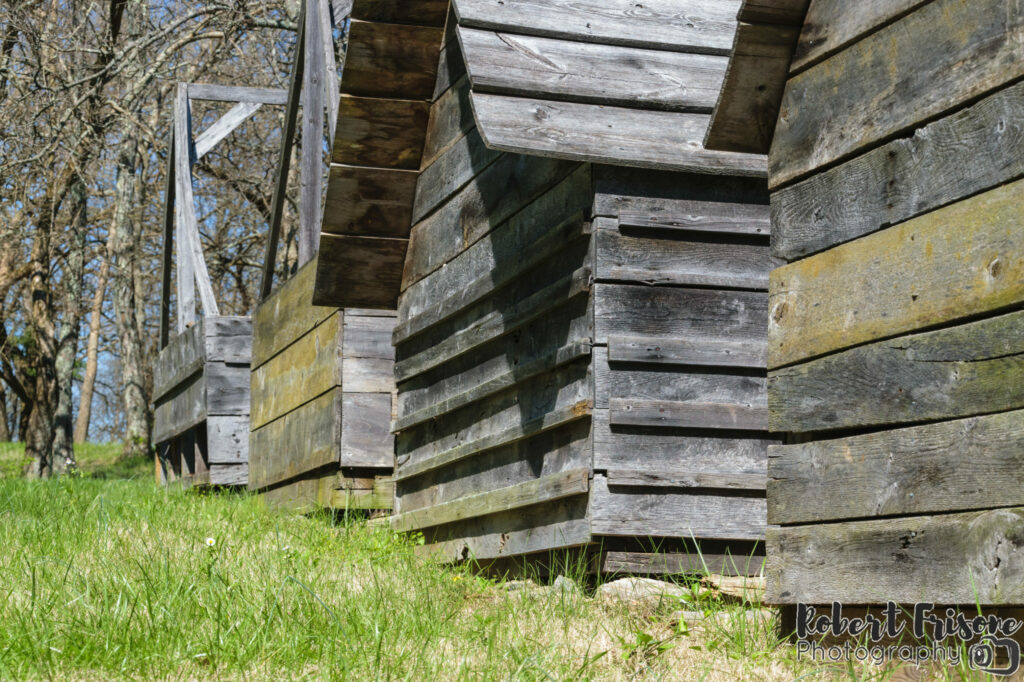 Rows of Sheds