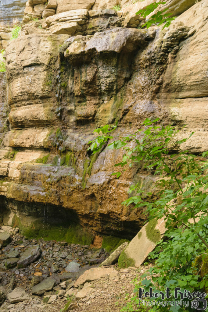 Mossy Mountainside