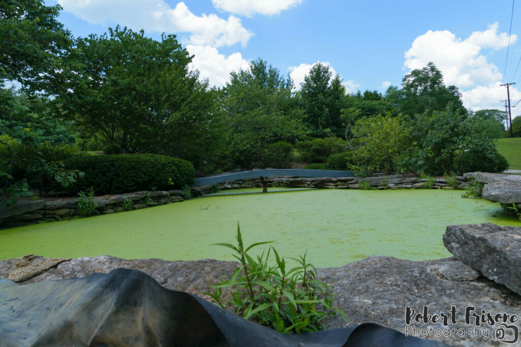 The Green Pool