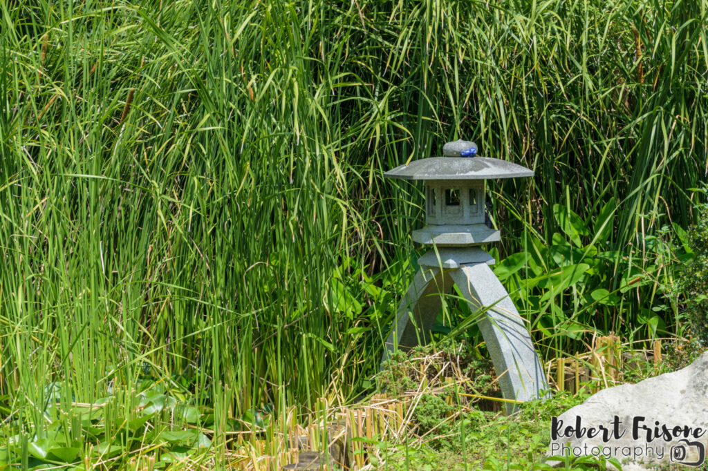 The Statue Hiding in the Grass