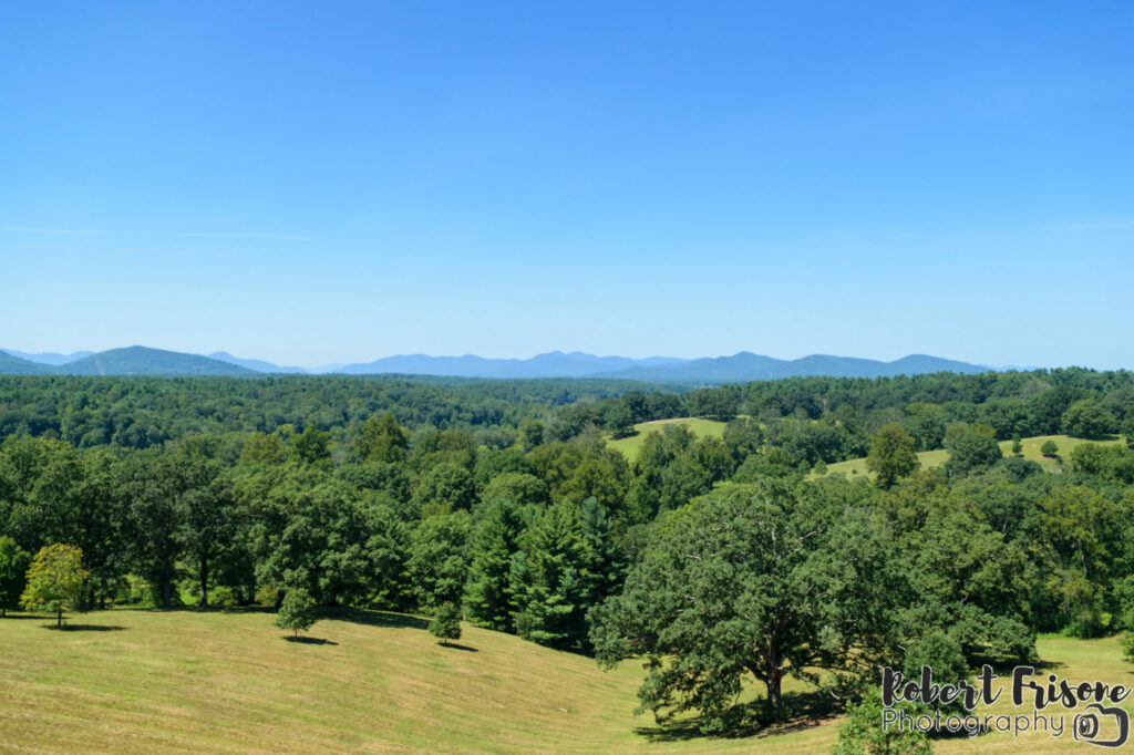 Biltmore View