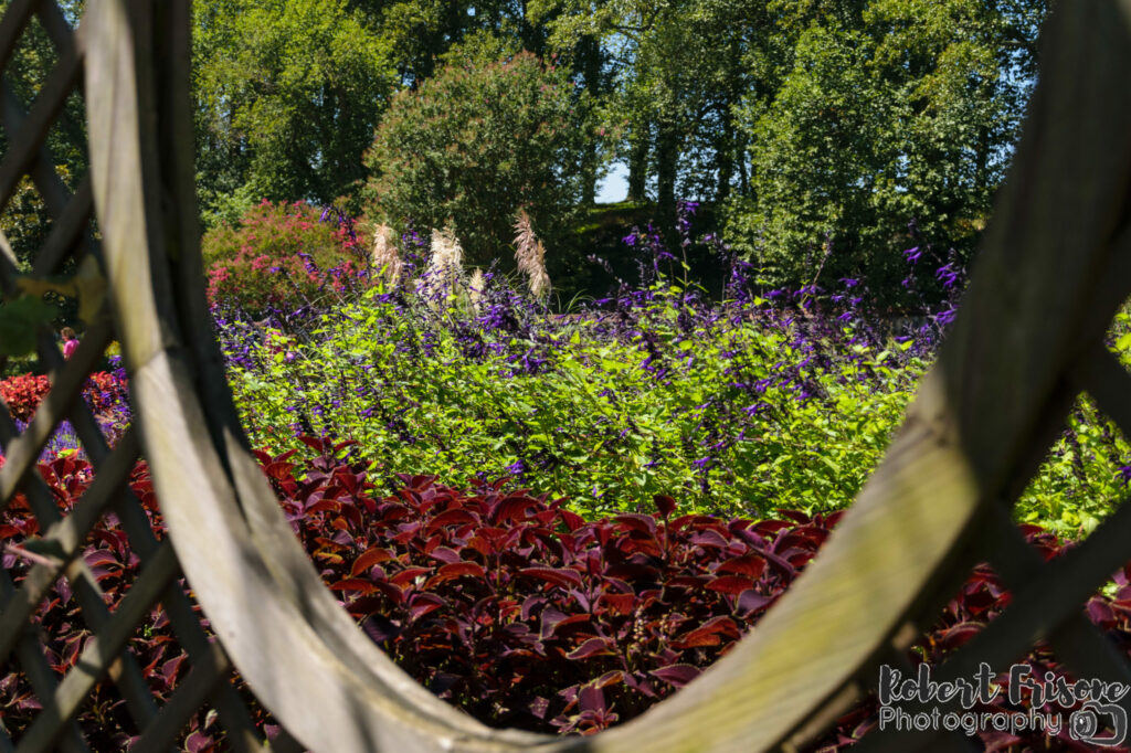 A Glimpse of the Garden