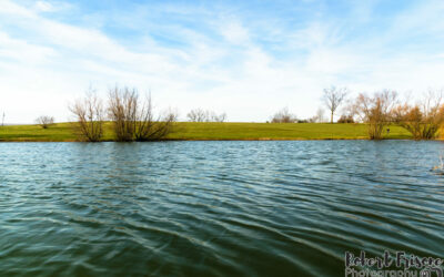 A Quick Stop at Scott County Park