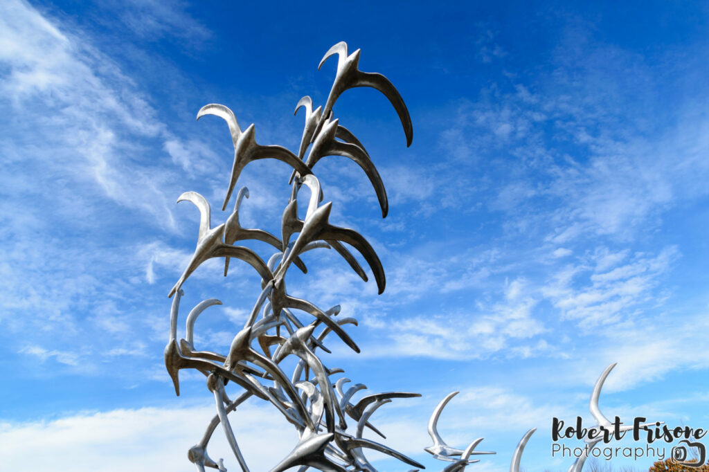 Winging Skyward