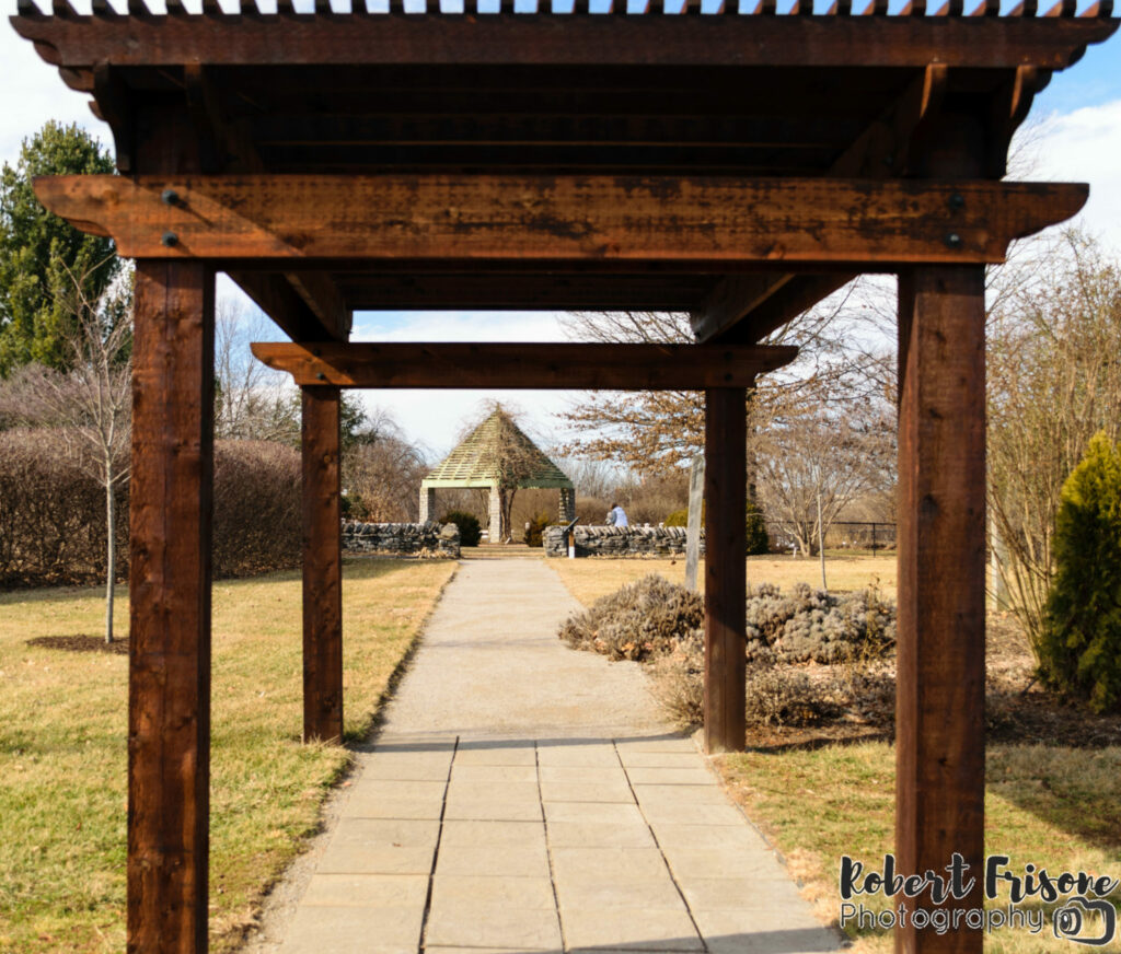 Through the Arbor