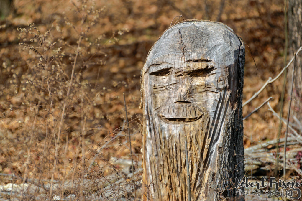 Wooden Face