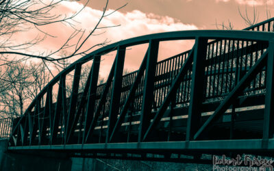 Walking by the Creek at Veterans Park