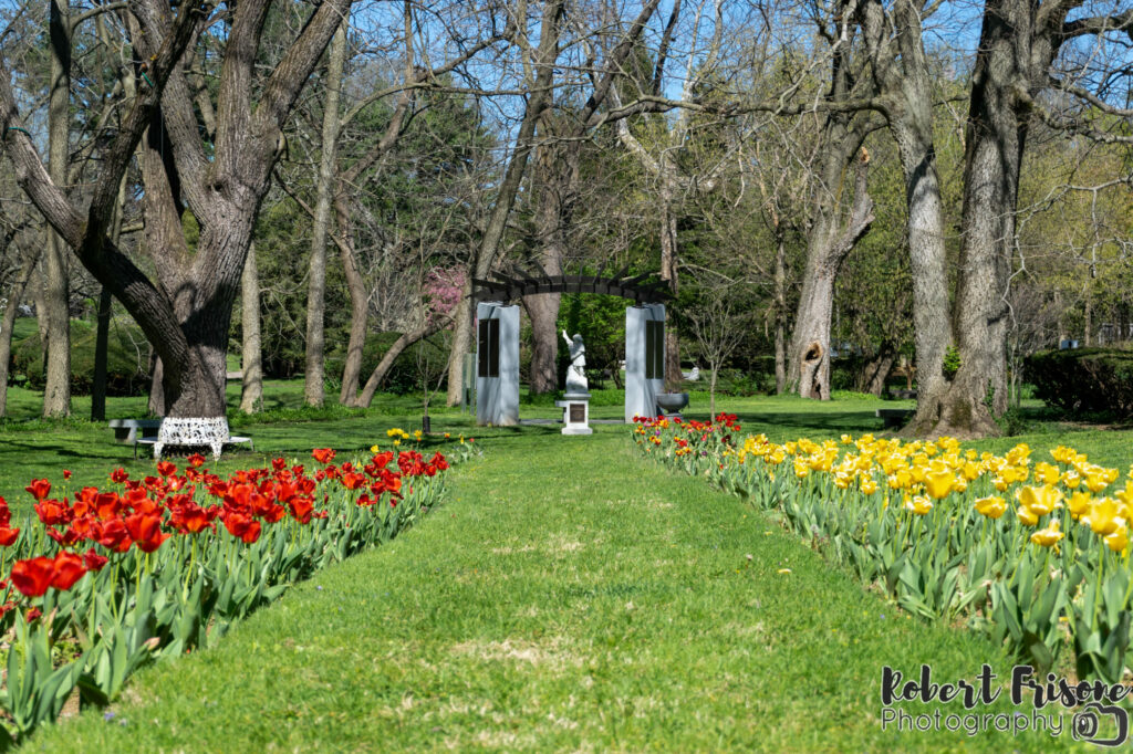 Flowered Path