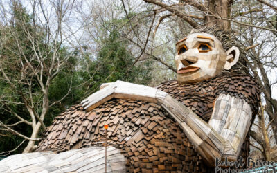 The Giants of Bernheim Forest