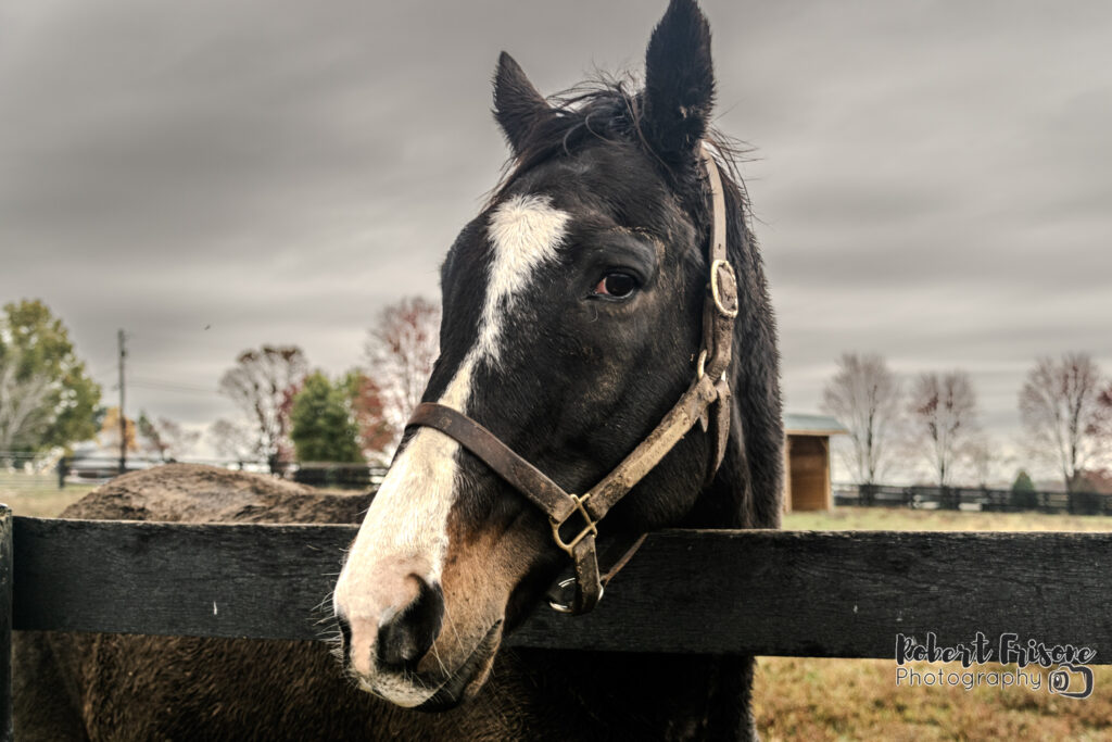 Lava Man